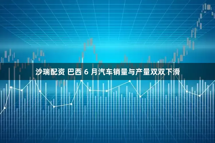 沙瑞配资 巴西 6 月汽车销量与产量双双下滑