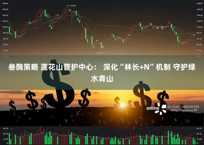 叁酶策略 莲花山管护中心： 深化“林长+N”机制 守护绿水青山
