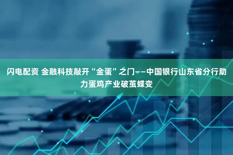 闪电配资 金融科技敲开“金蛋”之门——中国银行山东省分行助力蛋鸡产业破茧蝶变