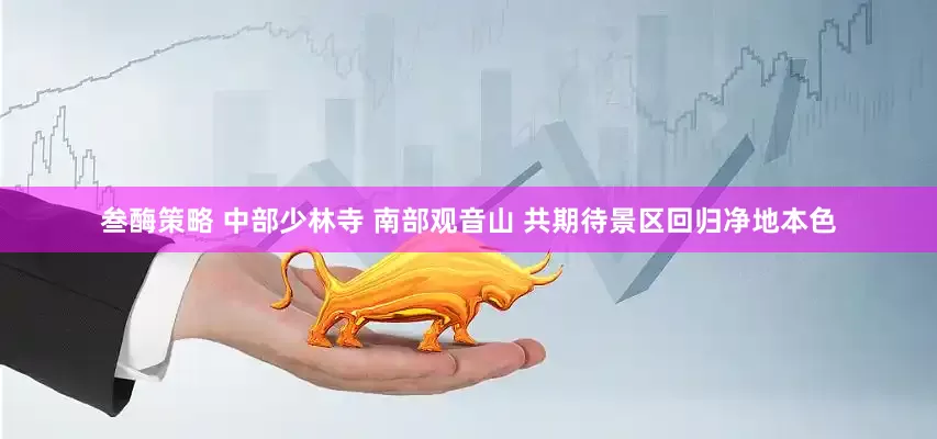 叁酶策略 中部少林寺 南部观音山 共期待景区回归净地本色